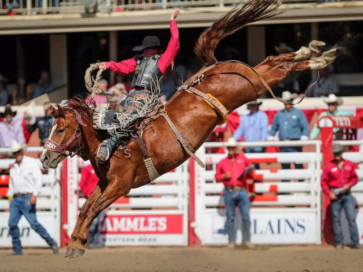 BURNCO and the 2018 Calgary Stampede, “The Greatest Outdoor Show on Earth” BURNCO and the 2018 Calgary Stampede, “The Greatest Outdoor Show on Earth”