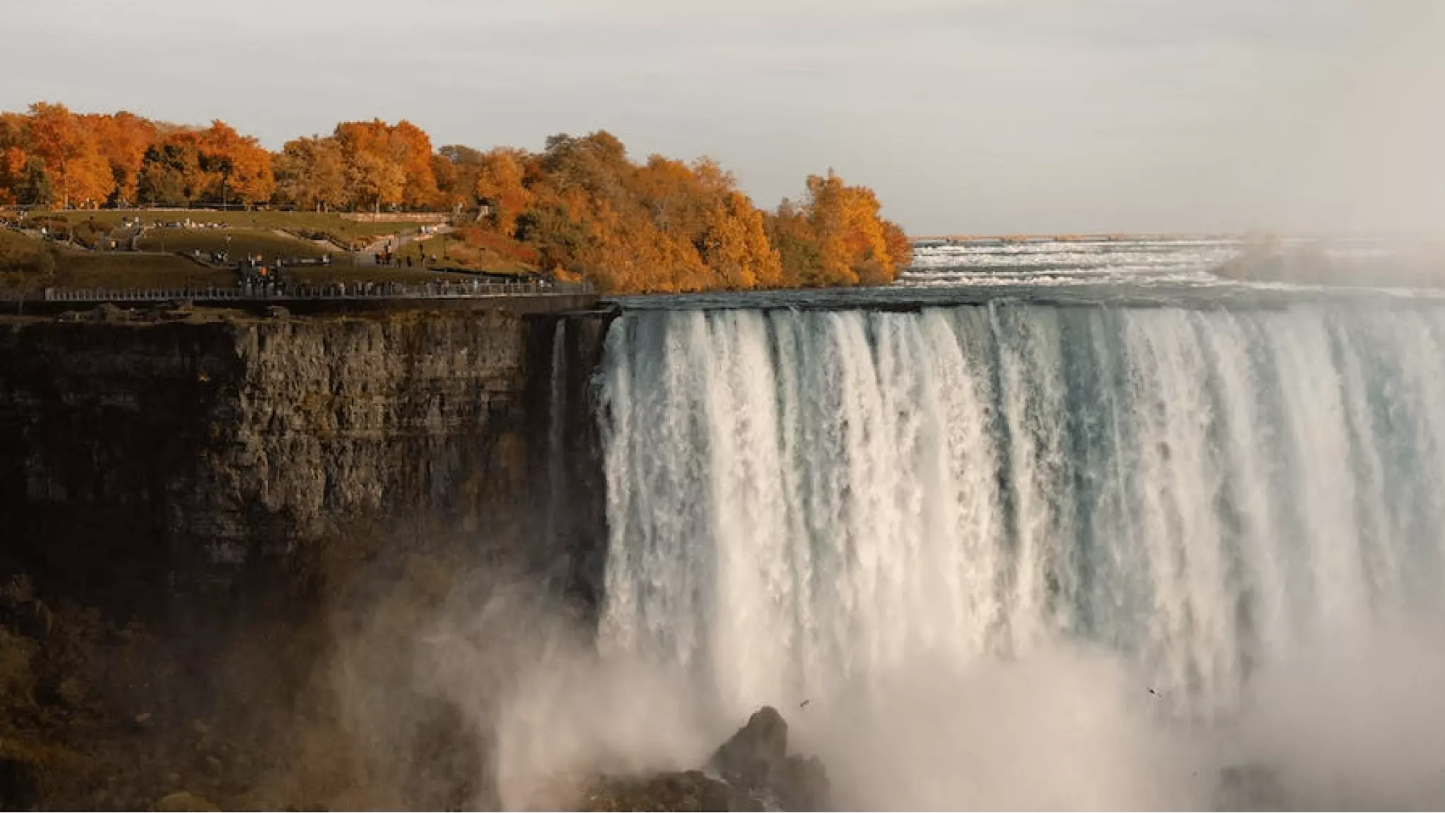 Our History 28 wide thumb shorelines grand opening this october